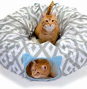 Image result for Toys for Kittens