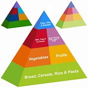 Image result for food pyramid