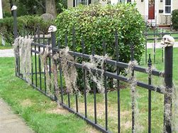 Image result for Creepy Stone Fence