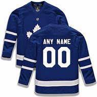 Image result for Leafs Jersey