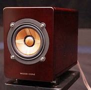 Image result for Wood Cone Speakers