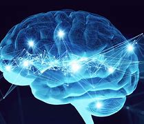 Image result for Brain Neurons Firing Free Image