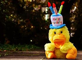 Image result for Happy Birthday Funny Nature
