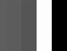 Image result for Spave Grey