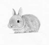 Image result for Cool Bunny Drawings Easy