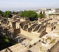 Image result for Herculaneum Bodies