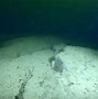 Image result for Baltic Sea Anomaly Map