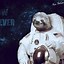 Image result for Sloth in Space Wall Art