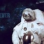 Image result for Sloth Backround in Space
