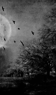 Image result for Gothic Themed Wallpaper