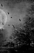 Image result for Black and White Gothic Wallpaper