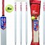 Image result for Cricket Kit