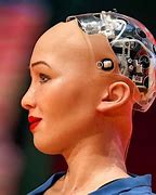 Image result for Chinese Robot Sophia