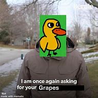 Image result for Fierce Grape Meme