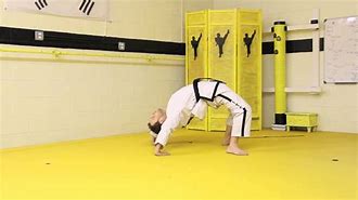 Image result for Martial Arts Stretches