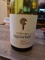 Image result for Vina Quintay Pinot Noir Q