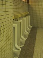 Image result for Beautiful Toilet