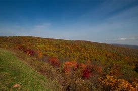 Image result for Skyline Drive Hoodie