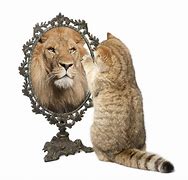 Image result for Cat Lion Mirror Reflection