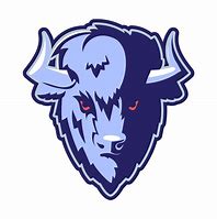 Image result for Buffalo Mascot Vector