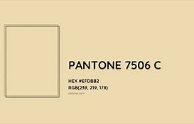 Image result for Pantone 7506C