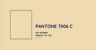 Image result for Pantone 7506