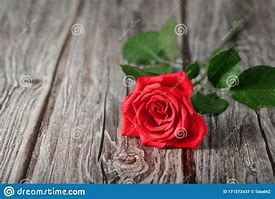 Image result for Une Rose Rouge Fraiche