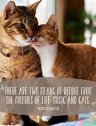 Image result for Cute Cat Sayings Quotes