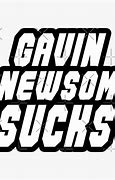 Image result for Gavin Newsom Offical Photo