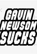 Image result for Gavin Newsom and Family