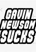 Image result for Gavin Newsom Hillary Clinton