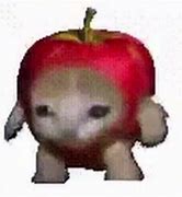 Image result for Fruit Cat Mem