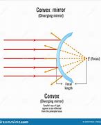 Image result for Reflection of Light in a Convex Mirror