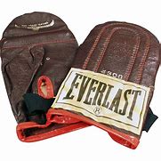 Image result for Everlast Boxing Bag and Gloves