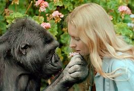 Image result for Gorilla People