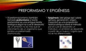 Image result for epig�nesis