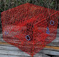 Image result for Crab Trap