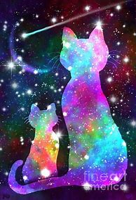 Image result for Crazy Galaxy Cat