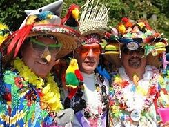 Image result for Parrot Heads in Paradise