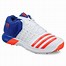 Image result for Cricket Shoes