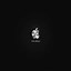 Image result for iPhone SE Backlit Apple Logo