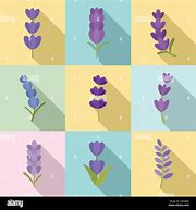 Image result for Lavender Bing Icon