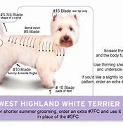 Image result for Westie Grooming Chart