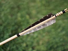 Image result for Crossbow Broadheads