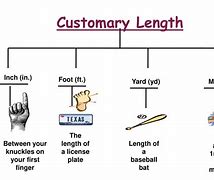 Image result for Origin of Yard Measurement