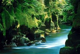 Image result for 1600X900 Abstract Nature Wallpaper