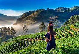 Image result for Chiang Mai View