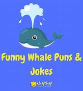 Image result for 29 Humor