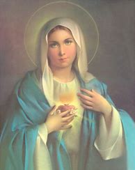 Image result for Blessed Virgin Mary Catholic