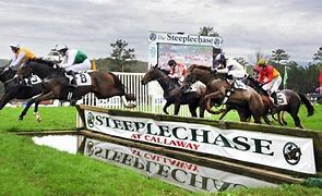 Image result for Steeplechase Oxford MS